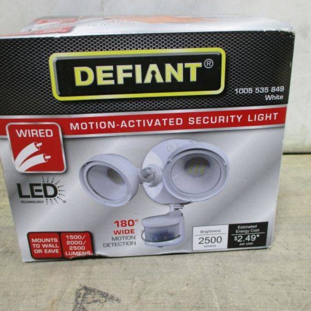 Motion activated security light